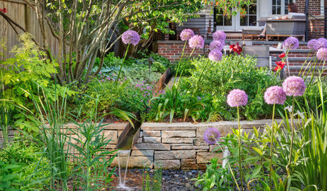12 Beautiful Ways to Manage Excess Water in Your Yard