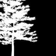 Aspen Venture Group's profile photo