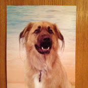 Ruth Landry's photo