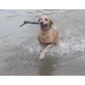Cara Pellowski's photo