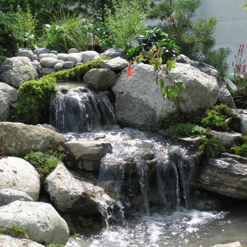 Water Features