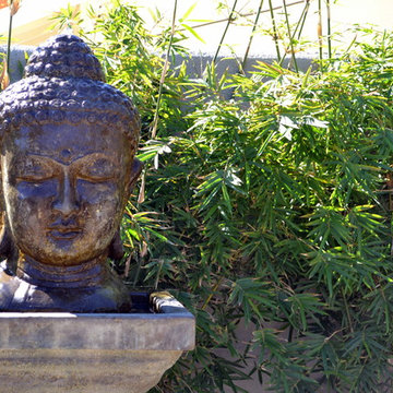 Zen garden