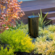Front Yard Final