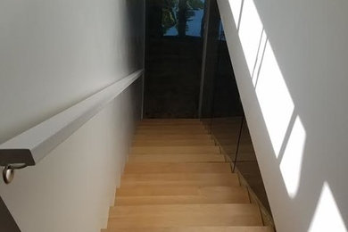 Example of a mid-sized trendy wooden straight staircase design in Los Angeles with wooden risers