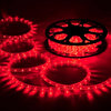 DELight 150' 2-Wire LED Rope Light Holiday Decor Indoor/Outdoor, Red
