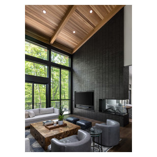 Modern Transitional Custom Home in Ann Arbor - Transitional - Living ...