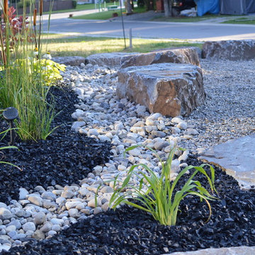 New yard Design