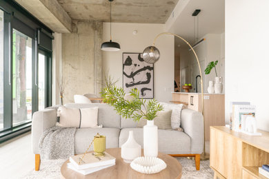 Example of a living room design in Montreal