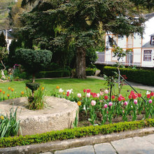Jardín de la semana: 500 tulipanes al borde del Cantábrico