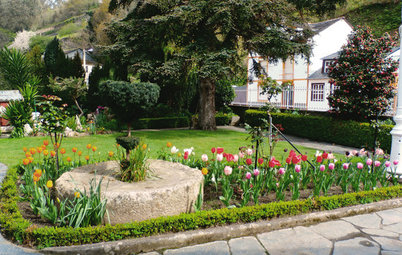 Jardín de la semana: 500 tulipanes al borde del Cantábrico