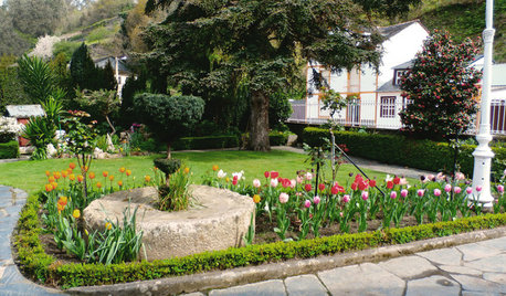 Jardín de la semana: 500 tulipanes al borde del Cantábrico