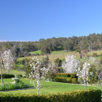 Ferguson valley