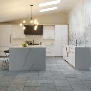 Orinda Urban Modern Kitchen