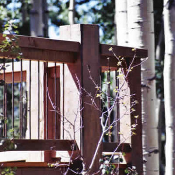 Telluride Rustic | Telluride, Colorado