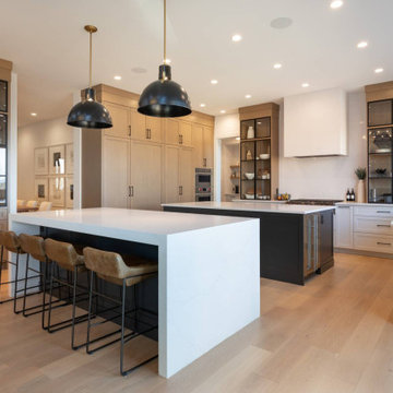 Aspen Estates Contemporary Farmhouse