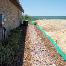 Carter Yard Ideas