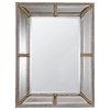 Decorative Wall Mirror in Braided Silver Leaf Colored Frame