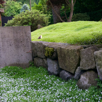 Moss gardens