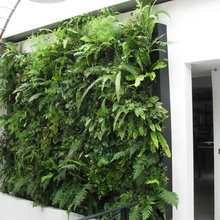 voyarbide's Ideas