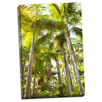 Fine Art Photograph, Tropical Oasis I, Hand-Stretched Canvas