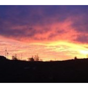 Connie Bolz's photo