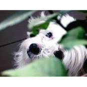 Qian Gao's photo