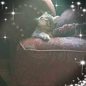Nancy Lahman's photo