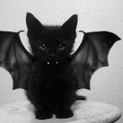 Matthew Kelly's photo