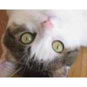 Jennifer P's photo