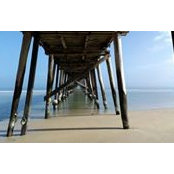 Neil Tooley's photo