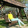 Sanda Andreea Pop