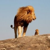 Andres Gleixner's photo