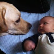 Lauren Mcb's photo