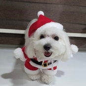 Cynthia Heng's photo