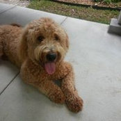 Jill Zapalac's photo