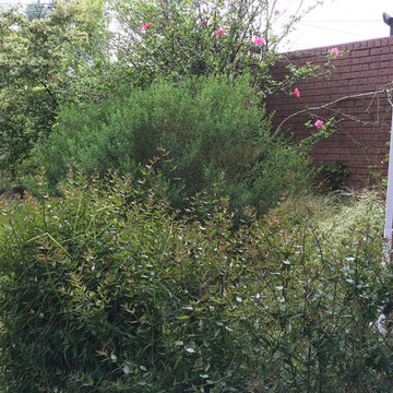BULLEEN FRONT GARDEN BEF