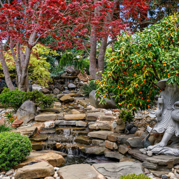 From Overwhelmed to Peace of Mind: A Saratoga Landscape Transformation