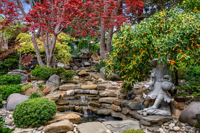 Design ideas for a landscaping in San Francisco.