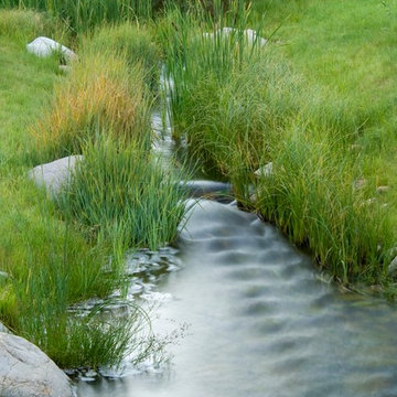 Transformative Water