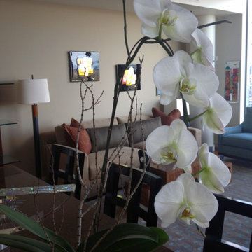 Portland Art Collector's Private Residence