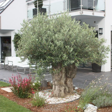 Rénovation exterieure d'une maison à Chantilly