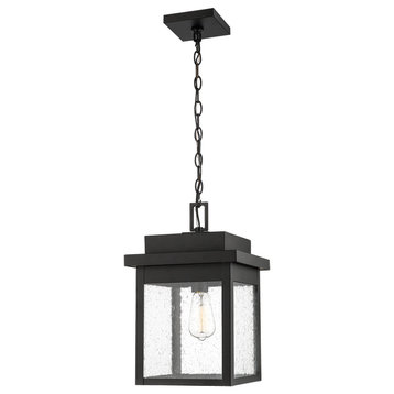 Belle Chasse 1-Light Outdoor Hanging Lantern in Powder Coat Black