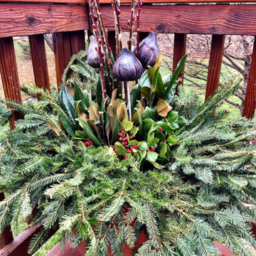 Winter Container Garden Design