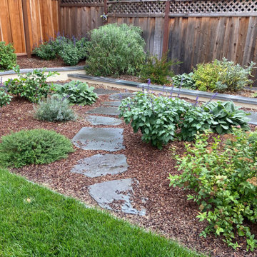 Sunnyvale Low Water & Dog Safe Garden