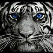 Darlene Martel's photo