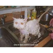 Joy Storey's photo