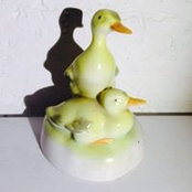 Katalin Szil's photo