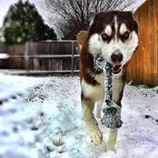 Lea Alignay's photo