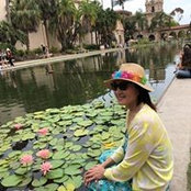 Seagull Hai's photo