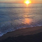 Kay Bolliger's photo